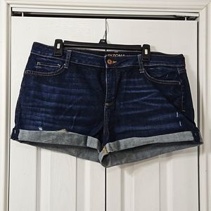 Arizona - denim shorts -- nwot - juniors 17